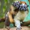 Zoológico de Barranquilla